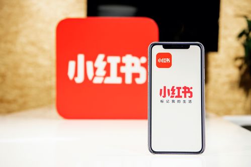 小紅書(shū)創(chuàng)作者中心上線(xiàn)，為優(yōu)質(zhì)創(chuàng)作者帶來(lái)專(zhuān)業(yè)成長(zhǎng)新機(jī)遇
